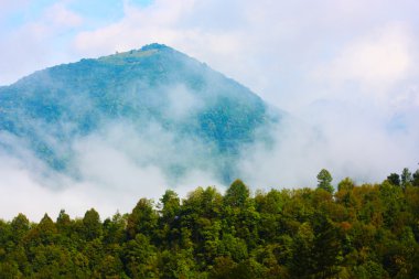 Slovenya'da alınan Alpler'in muhteşem ladnscape