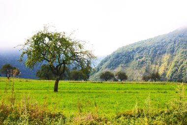 Slovenya'da alınan Alpler'in muhteşem ladnscape