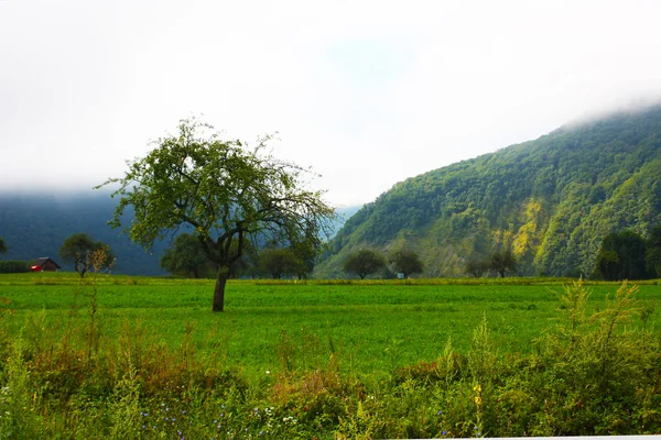 슬로베니아에서 알프스의 놀라운 ladnscape — 스톡 사진