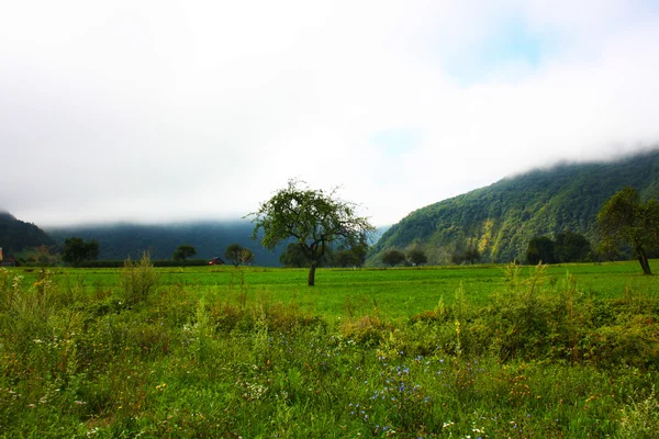 スロベニアでの撮影、アルプスの素晴らしい ladnscape — ストック写真