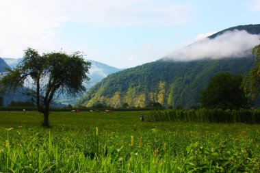 küçük bir kasaba tplmin Slovenya yaz aylarında alınan Alpleri'nde