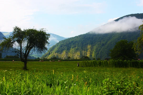 Malé městečko tplmin v Alpách, přijatých v létě ve Slovinsku — Stock fotografie