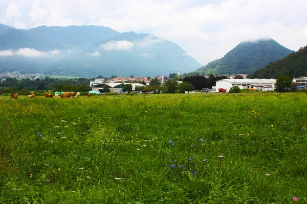 スロベニアのアルプスの山々 の小さな町 — ストック写真