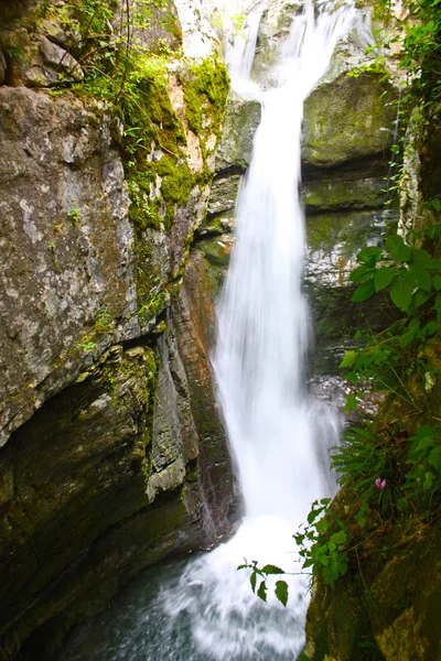 Toller Wasserfall in den Alpen — Stockfoto