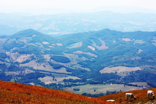 アペニン山脈の美しさはイタリアで撮影されました。 — ストック写真