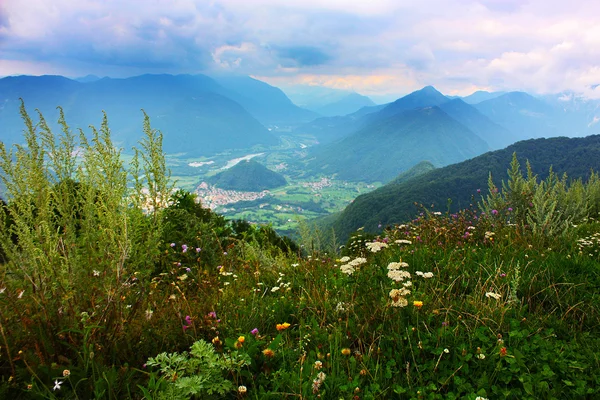 Małe miasteczko tplmin w Alpach podjęte latem w Słowenii — Zdjęcie stockowe