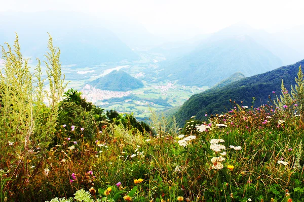 Liten stad tplmin i Alperna tas i sommar i Slovenien — Stockfoto