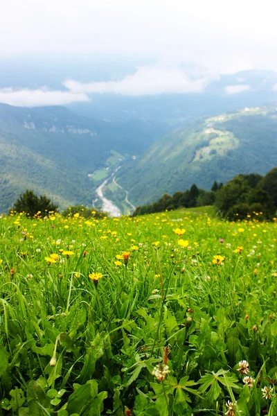 Liten by Tplmin i Alpene, tatt om sommeren i Slovenia – stockfoto