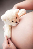 Teddy bear hugs pregnant belly