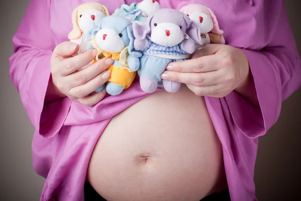 玩具小狗和怀孕 — 图库照片