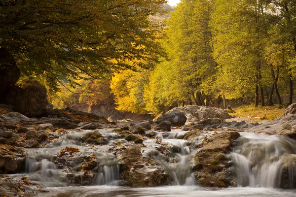 Waterfall flows among autumn trees — Stock Photo, Image