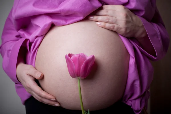 Gravidez e flor rosa — Fotografia de Stock