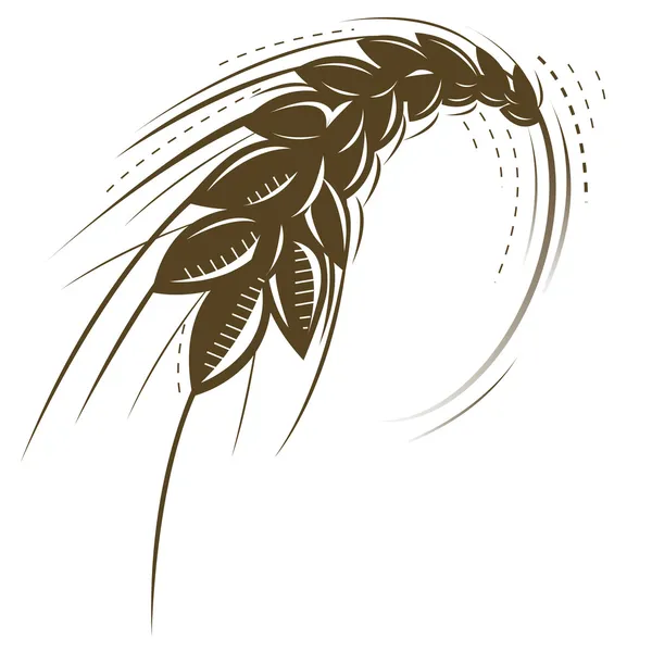 Weizen — Stockvektor