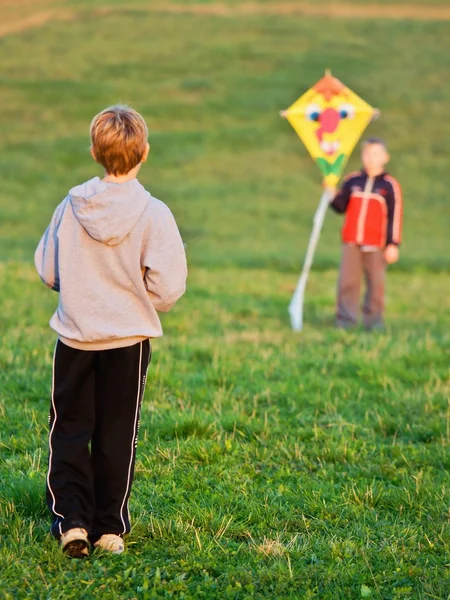 Twee kinderen die de vlieg een vlieger — Stockfoto