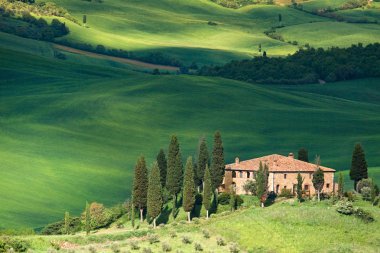 Tuscany landscape - belvedere clipart