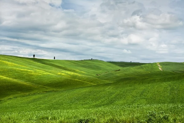 Hügelige Landschaft der Toskana — Stockfoto