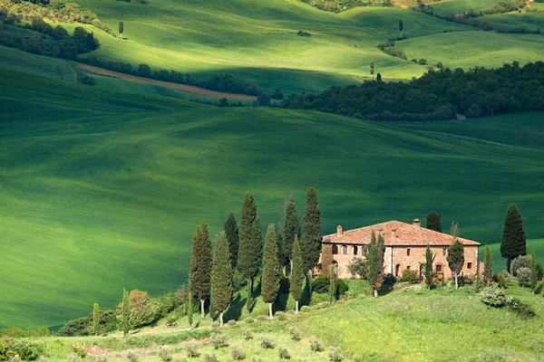 Tuscany landscape - belvedere — Stock Photo, Image