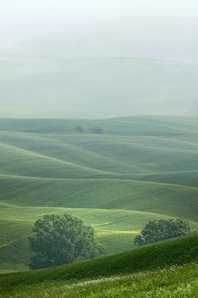 Hügelige Landschaft der Toskana im Nebel — Stockfoto