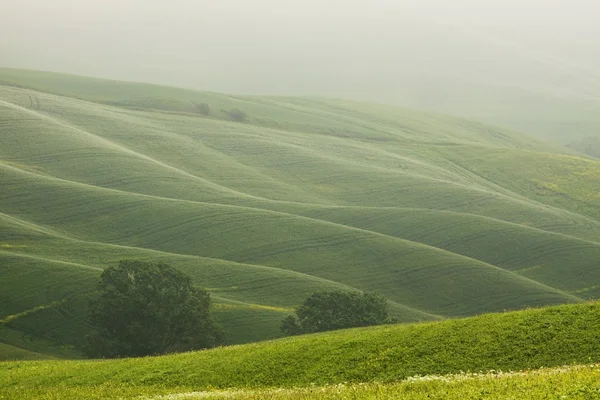 Paysage vallonné de la Toscane dans le brouillard — Photo