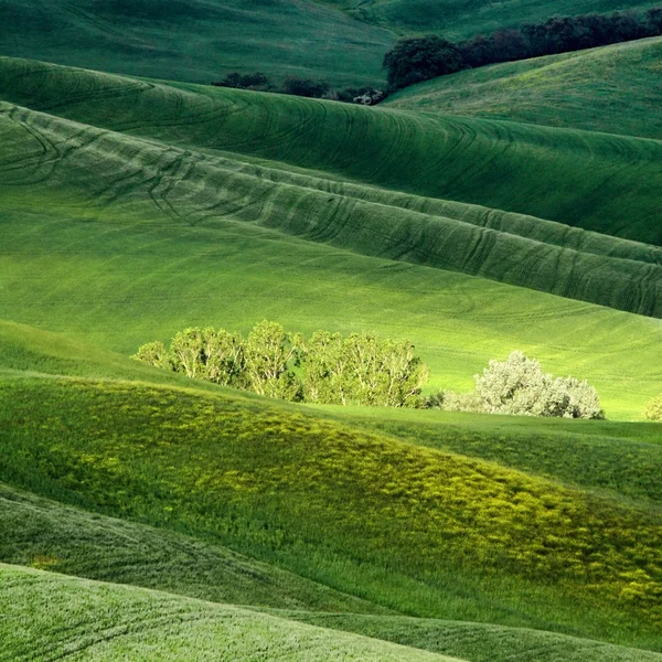 Montañoso paisaje de Toscana — Foto de Stock