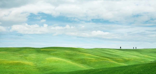 Hilly landscape of Tuscany — Stock Photo, Image