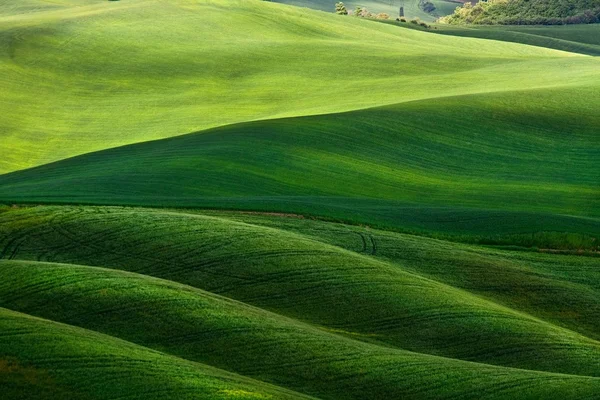 Heuvelachtig landschap van Toscane — Stockfoto