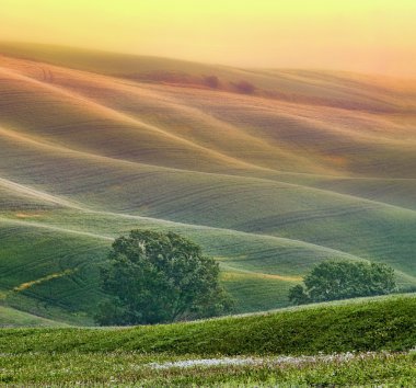 Hilly landscape of Tuscany clipart