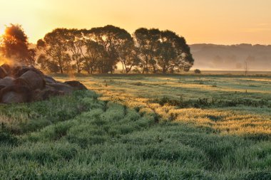 Sunrise peyzaj