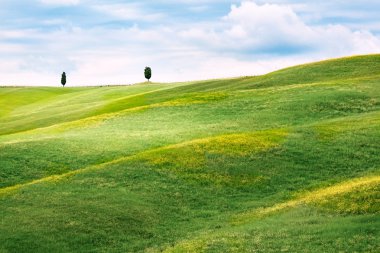 Toskana 'nın Hilly manzarası