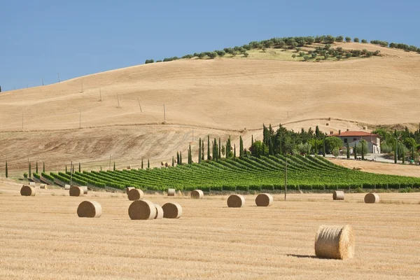 Paisagem de verão da Toscana — Fotografia de Stock