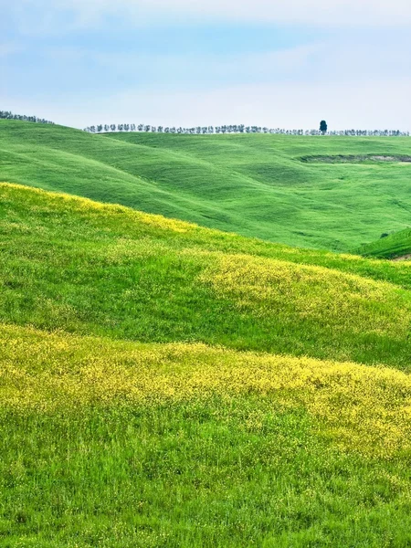 Пагорбистий краєвид Тоскани — стокове фото