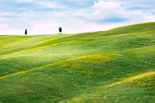 토스카나의 울퉁불퉁 한 풍경 — 스톡 사진