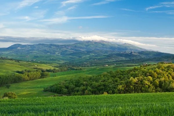 Paisaje en Toscana — Foto de Stock