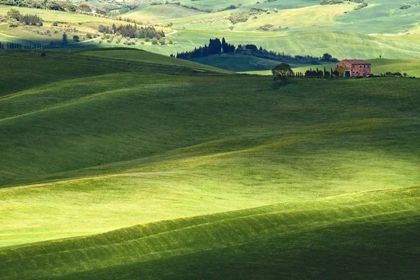 Tuscana landschap - weg serpentines — Stockfoto