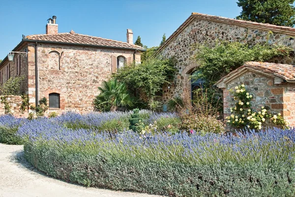 Hermoso rincón pintoresco de la Toscana rural —  Fotos de Stock