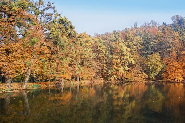 stock image Beautiful atumn on pond