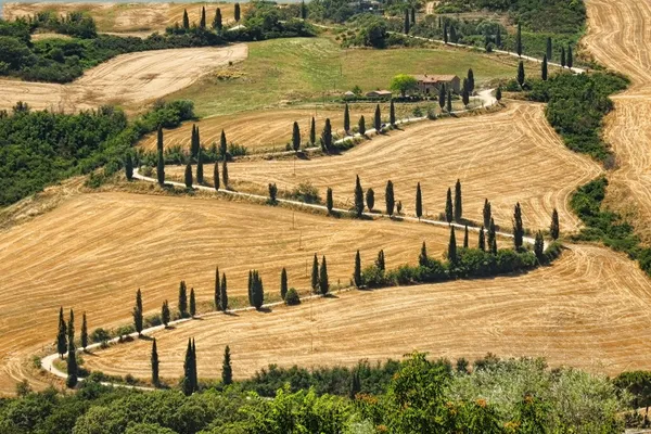 Tuscana krajina - silniční serpentines — Stock fotografie