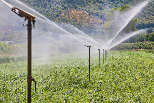 Irrigation system working on a farm