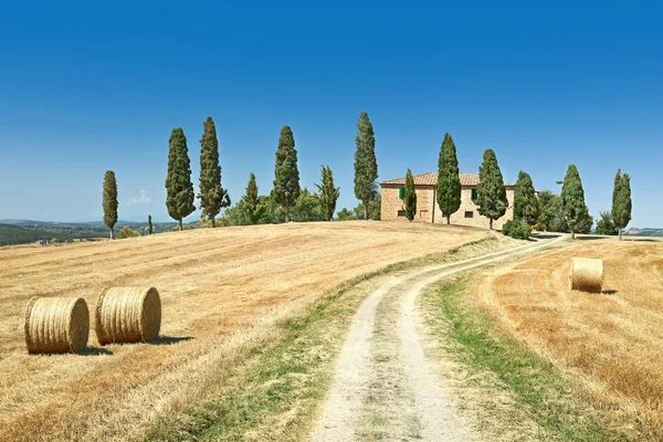 Krajobraz lato Toskanii — Zdjęcie stockowe