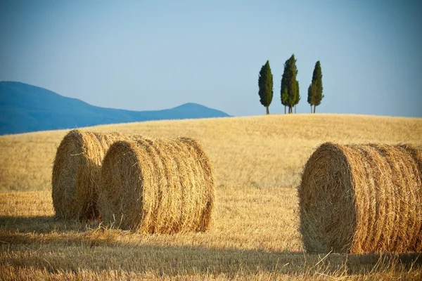 Tuscany summer landscape — Stock Photo, Image