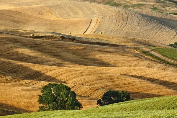 Toscane zomer landschap — Stockfoto