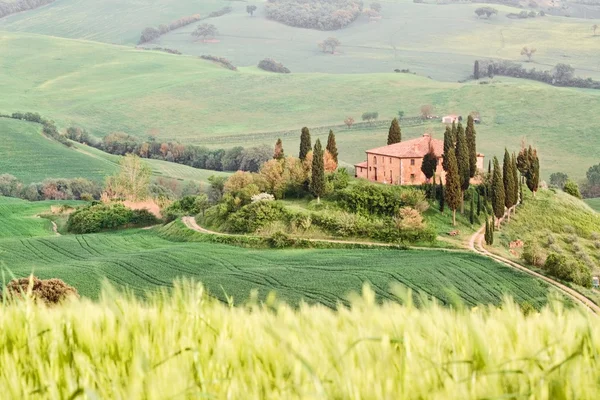 Toskanische Landschaft - Aussichtspunkt — Stockfoto