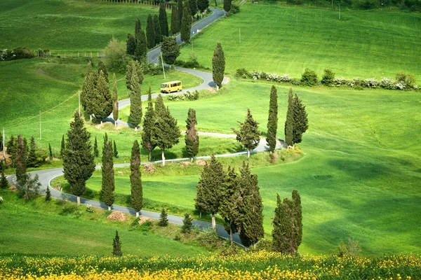 Tuscana Landscape - road serpentines — Stock Photo, Image