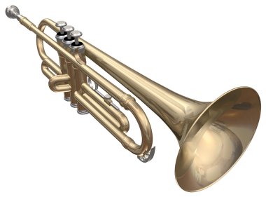 Beyaz trompet