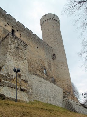 eski tallin herman Ortaçağ kule uzun