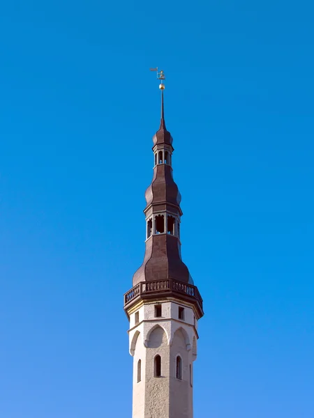 The Tallinn town hall