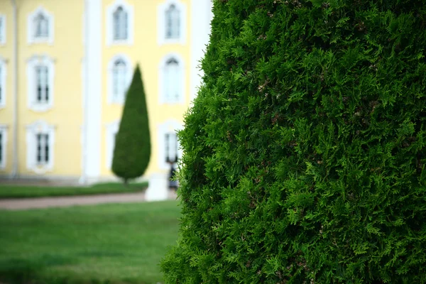 Piękny klasyczny ogród — Zdjęcie stockowe