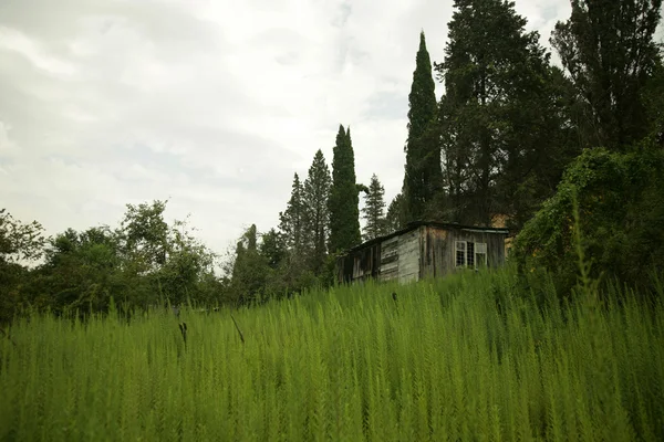 Landscape with house — Stock Photo, Image