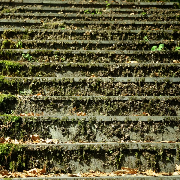 Fragment stairs — Stock Photo, Image