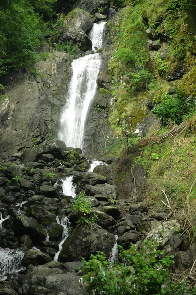 stock image Picturesque waterfall